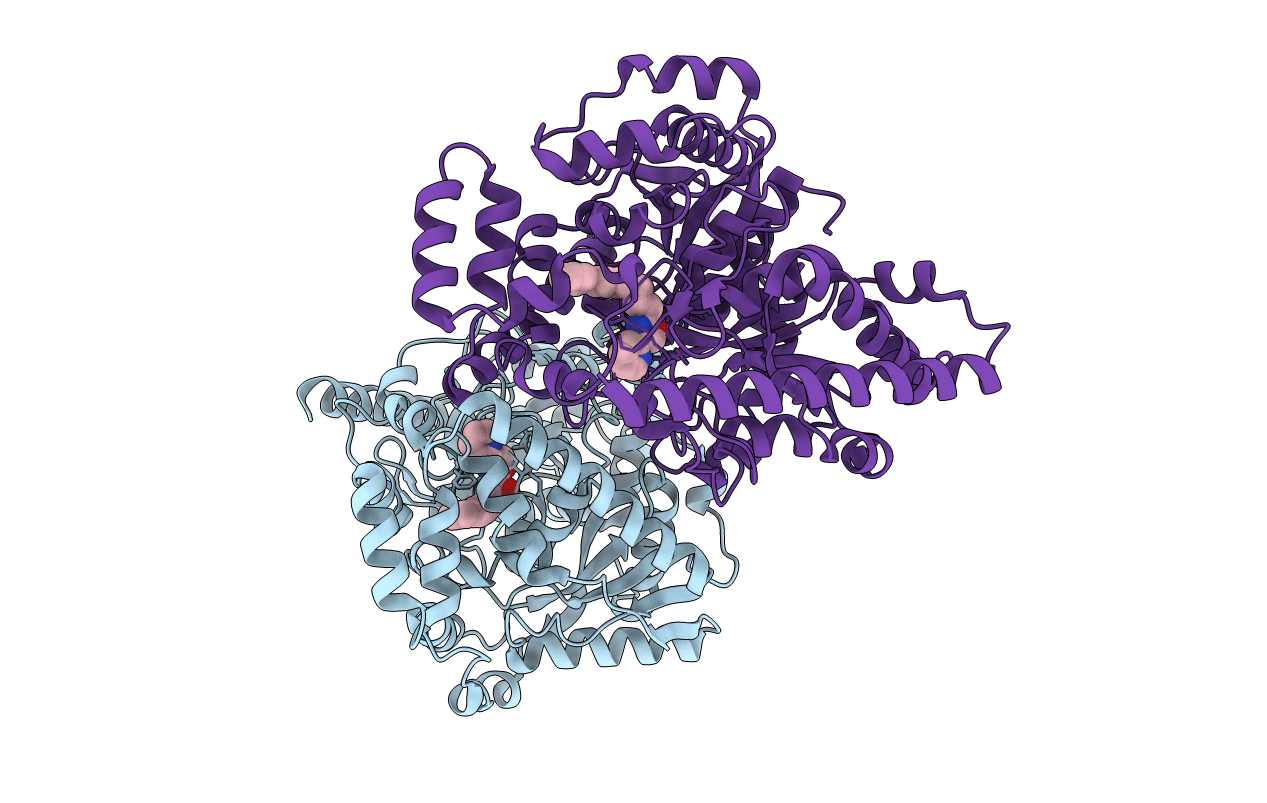 2WJ1 image