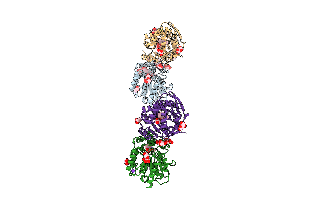 2WJ6 image
