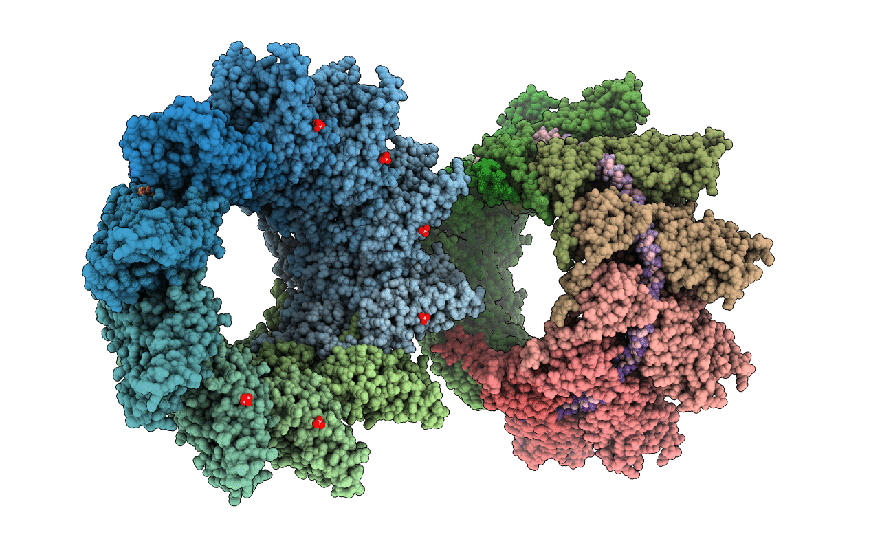 2WJ8 image