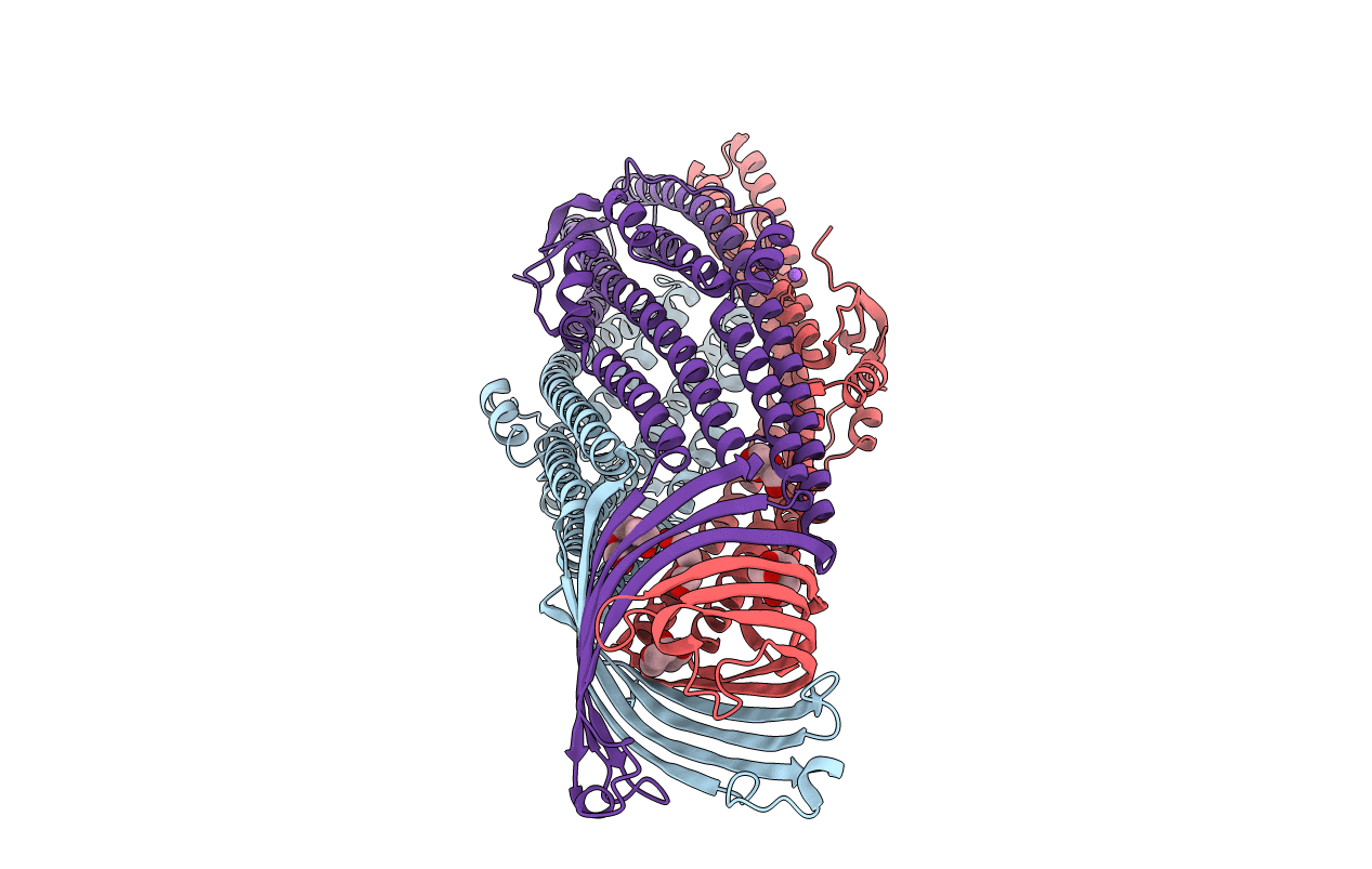 2WMZ image