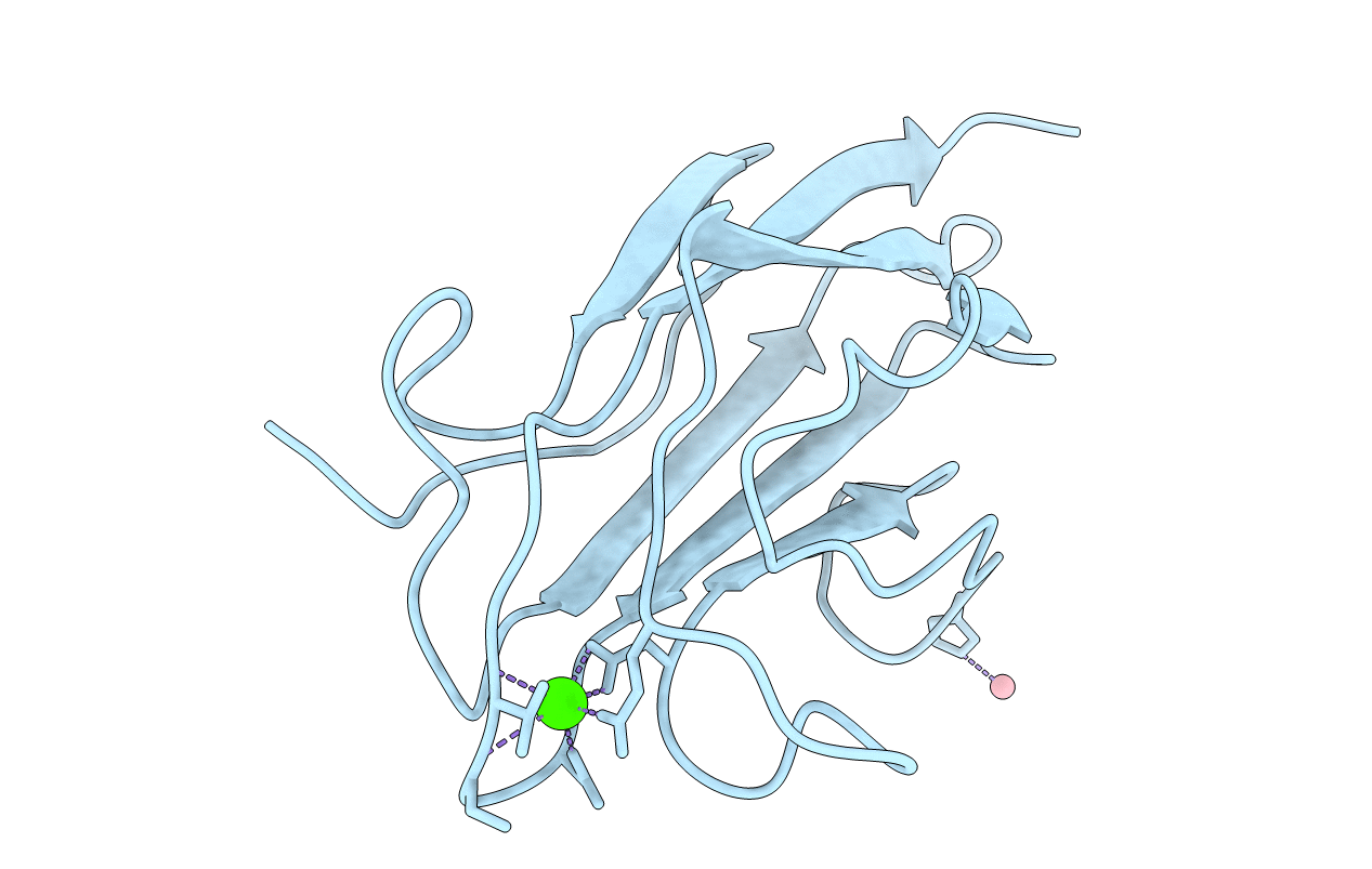 2WNO image