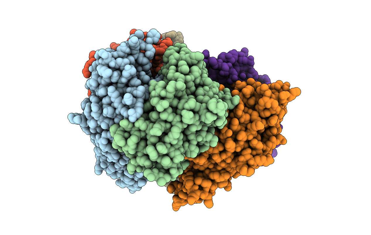 2WNR image