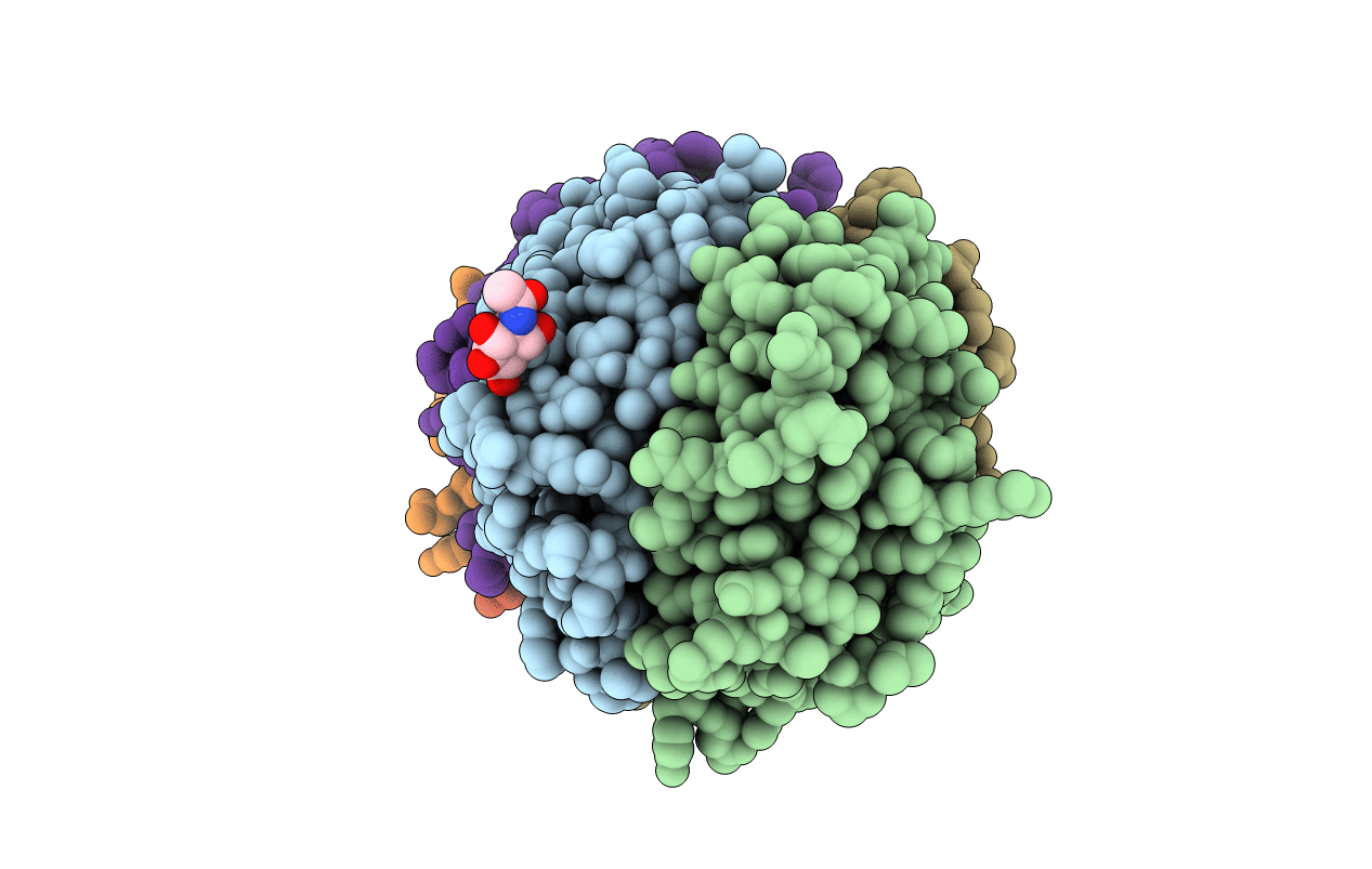 2WNV image