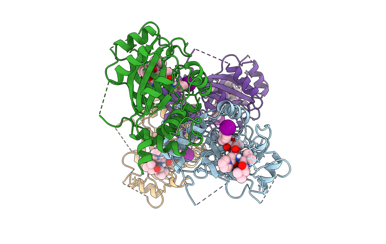 2WPO image
