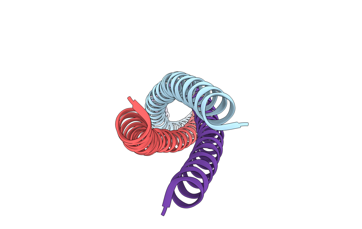 2WPS image