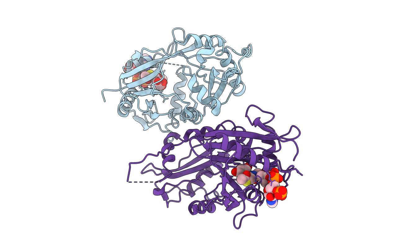 2WPX image
