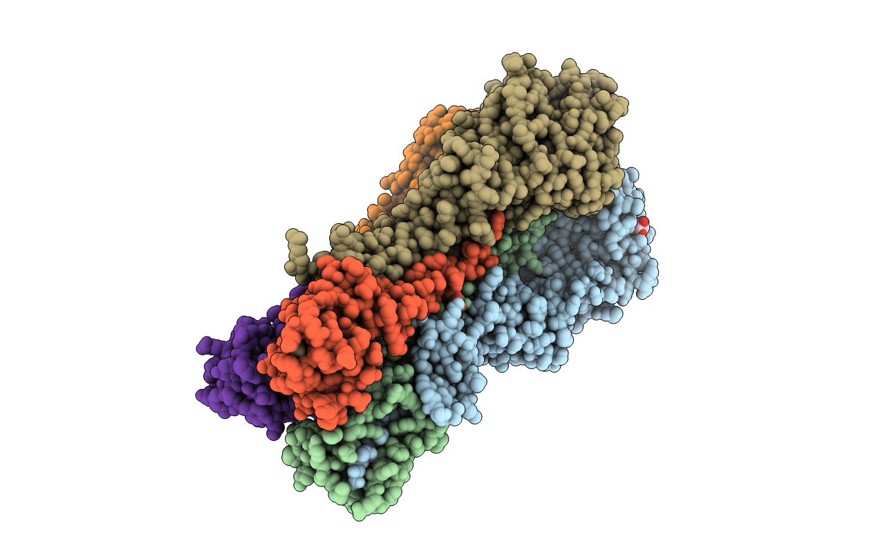 2WRH image