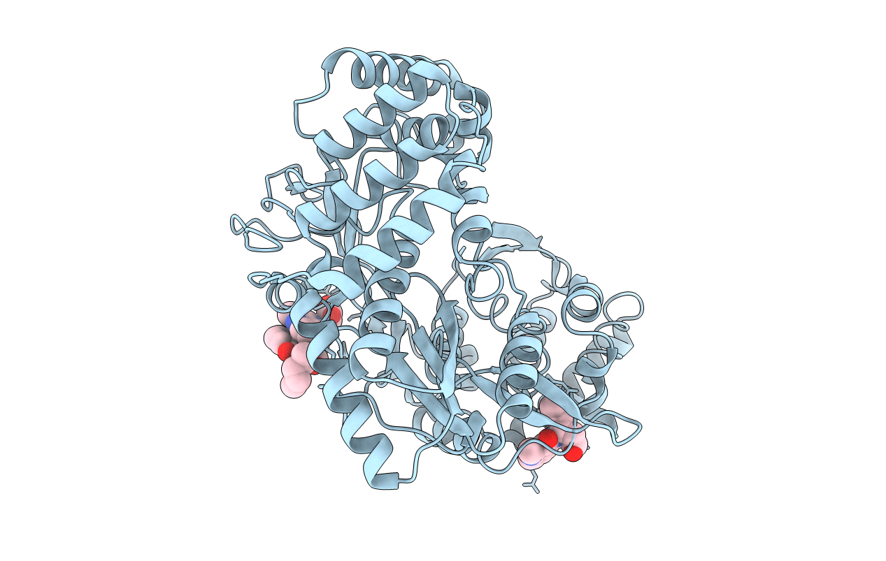 2WRM image