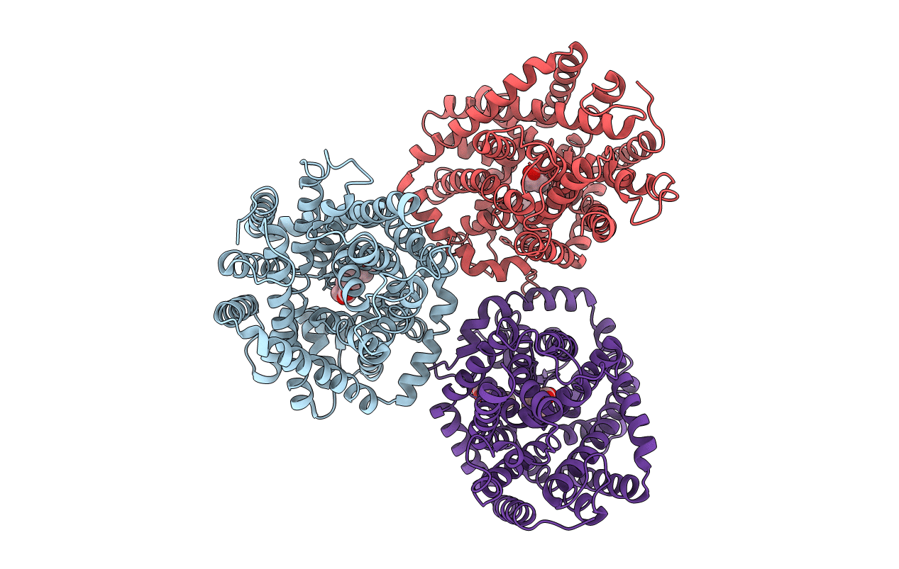 2WSX image