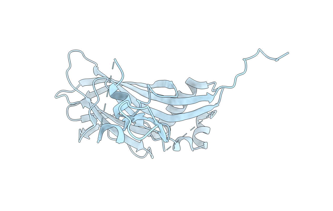 2WUX image