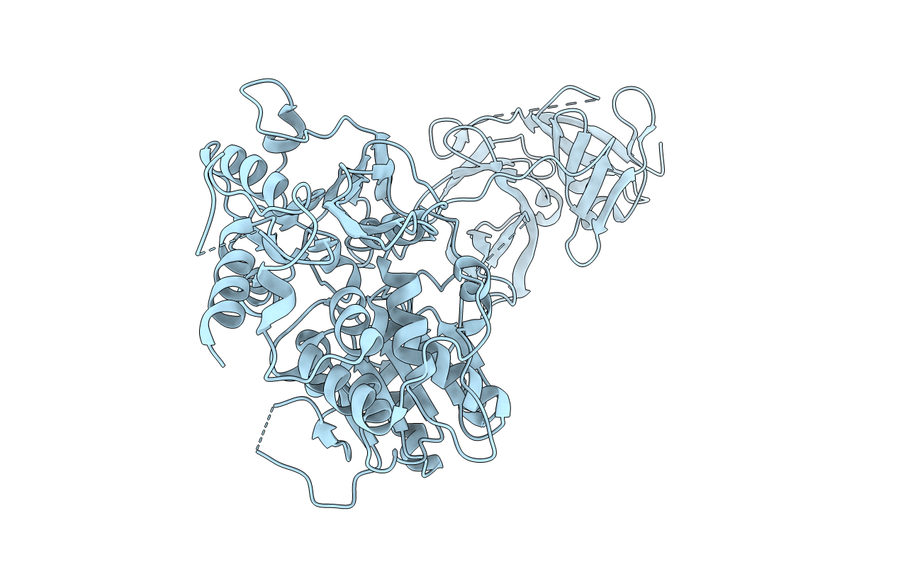 2WV9 image