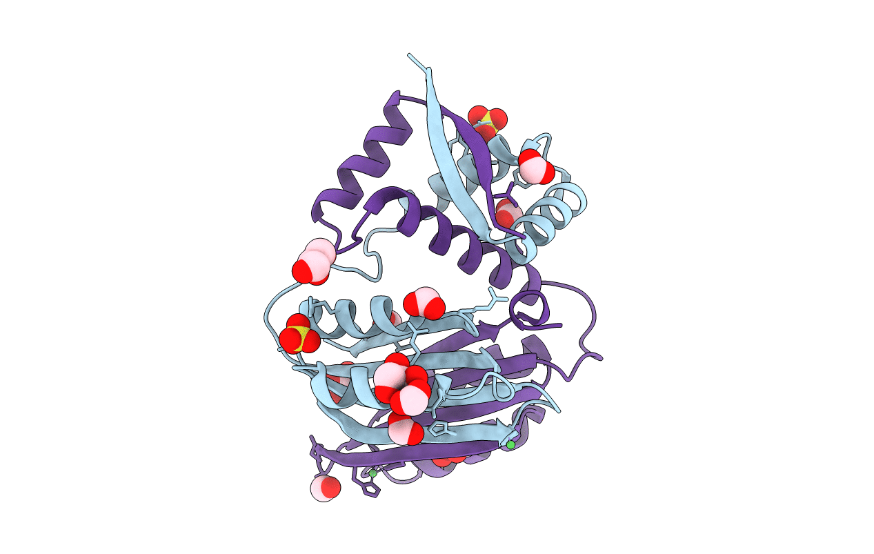 2WVF image