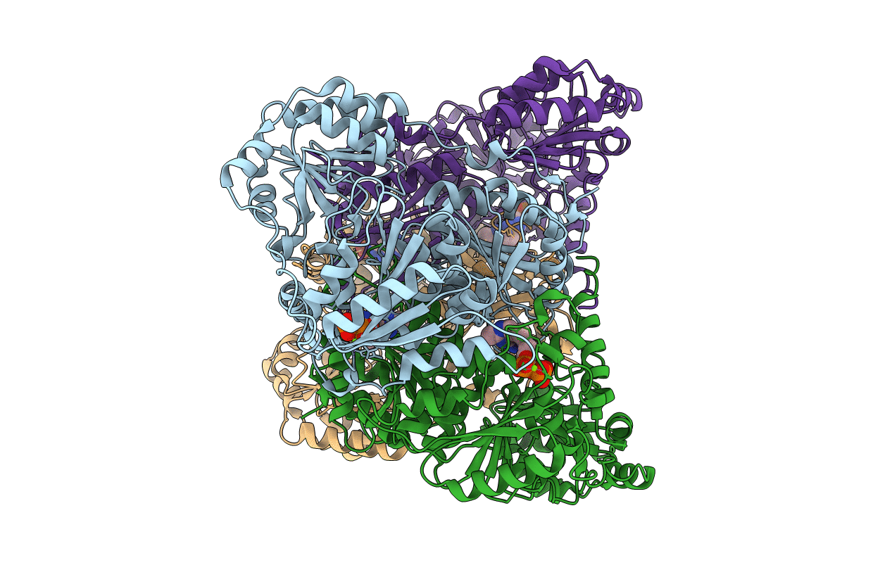 2WVG image