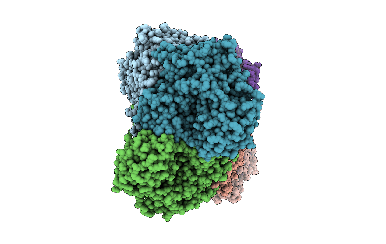 2WVH image