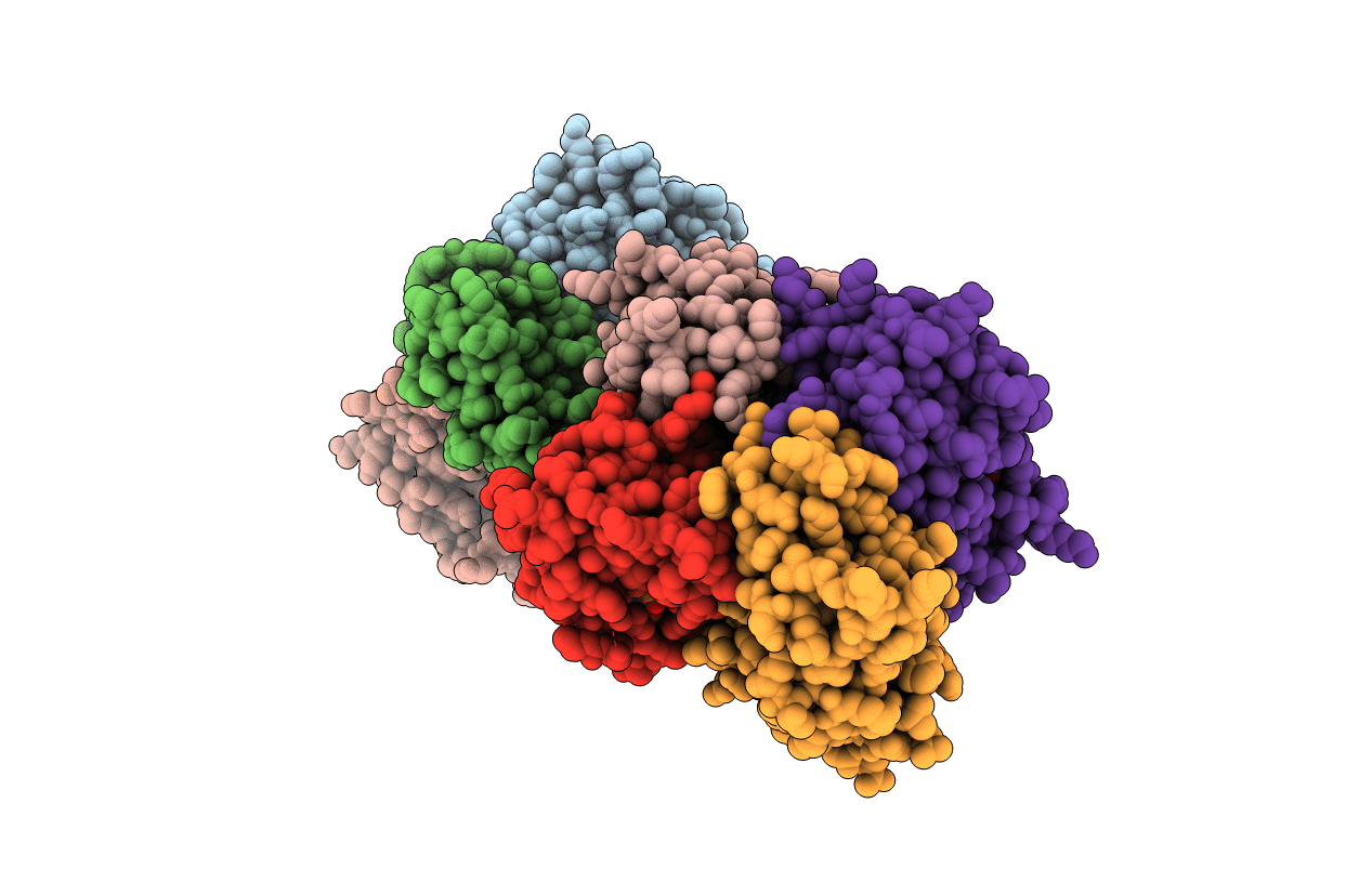 2WVJ image