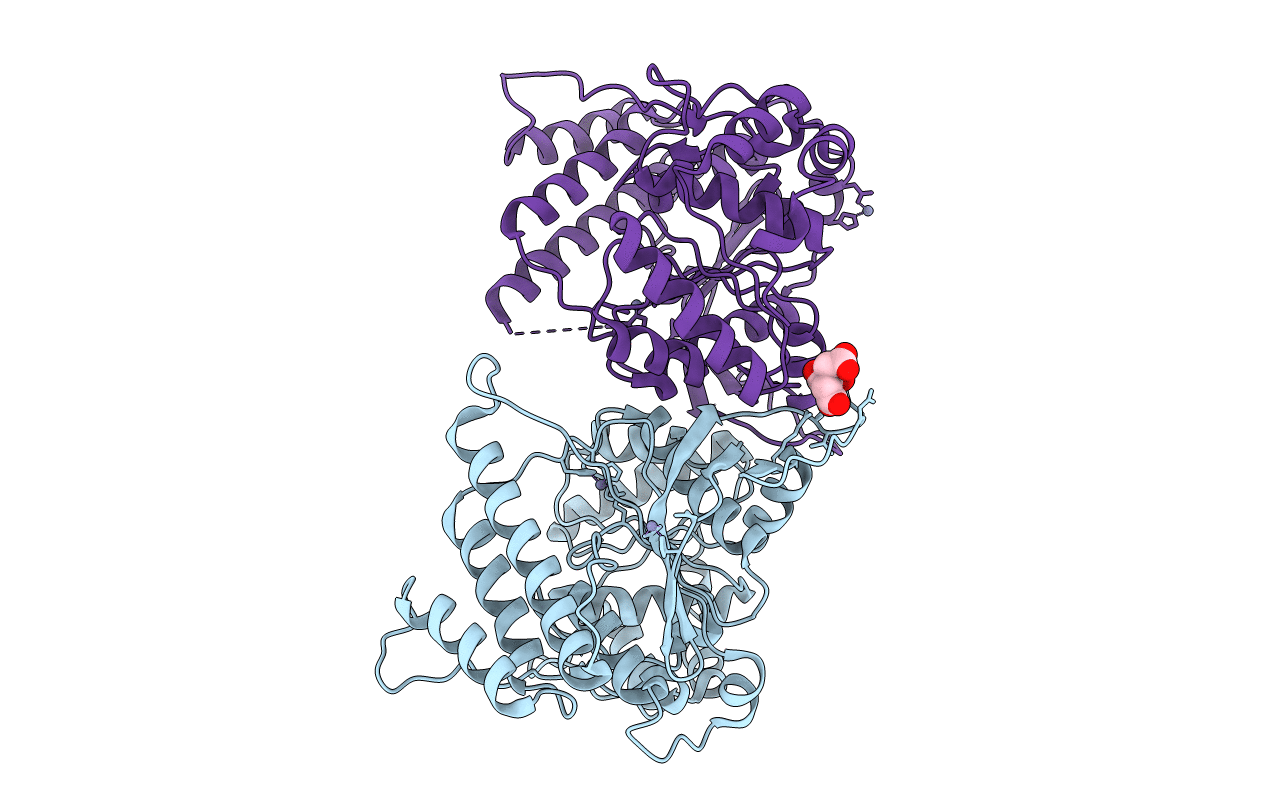 2WVK image