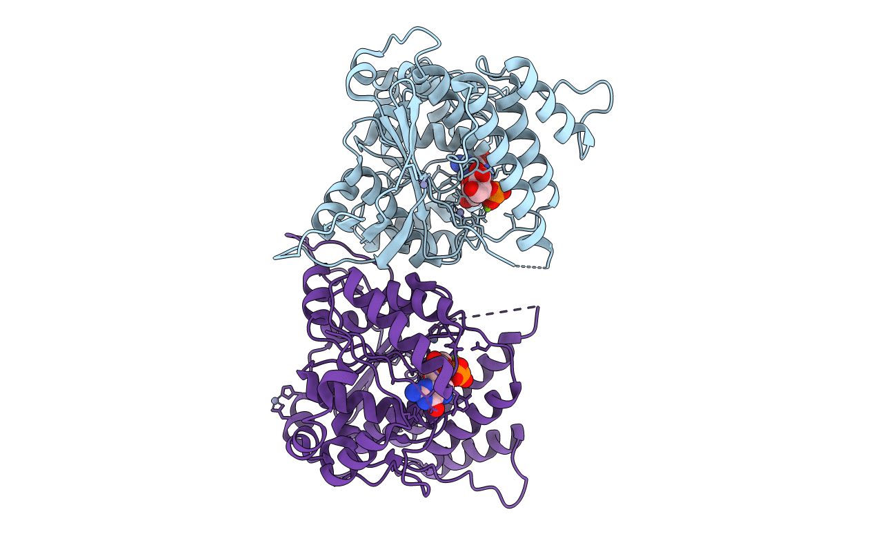 2WVL image