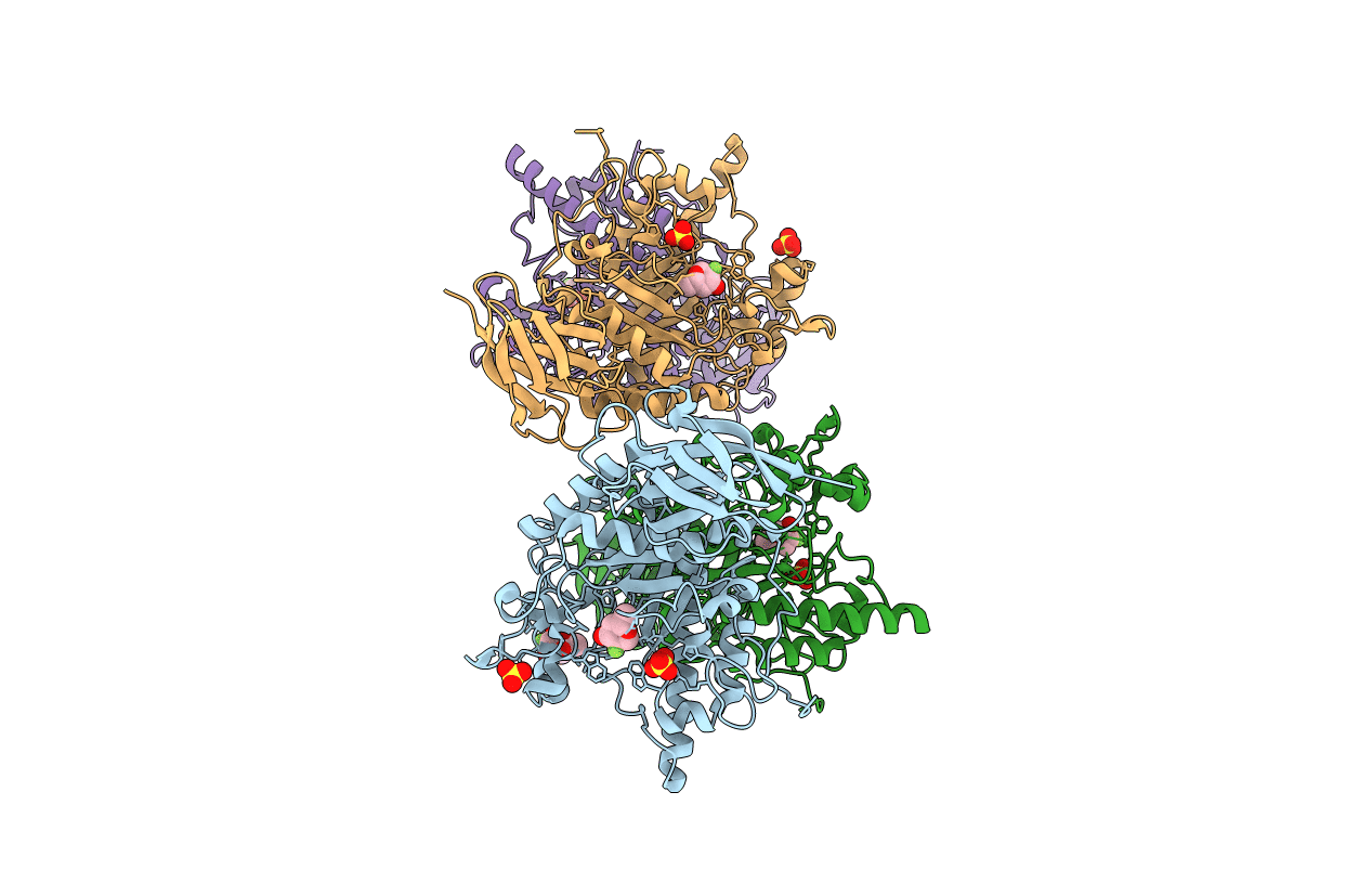 2WVS image