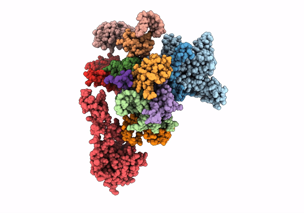2WWB image
