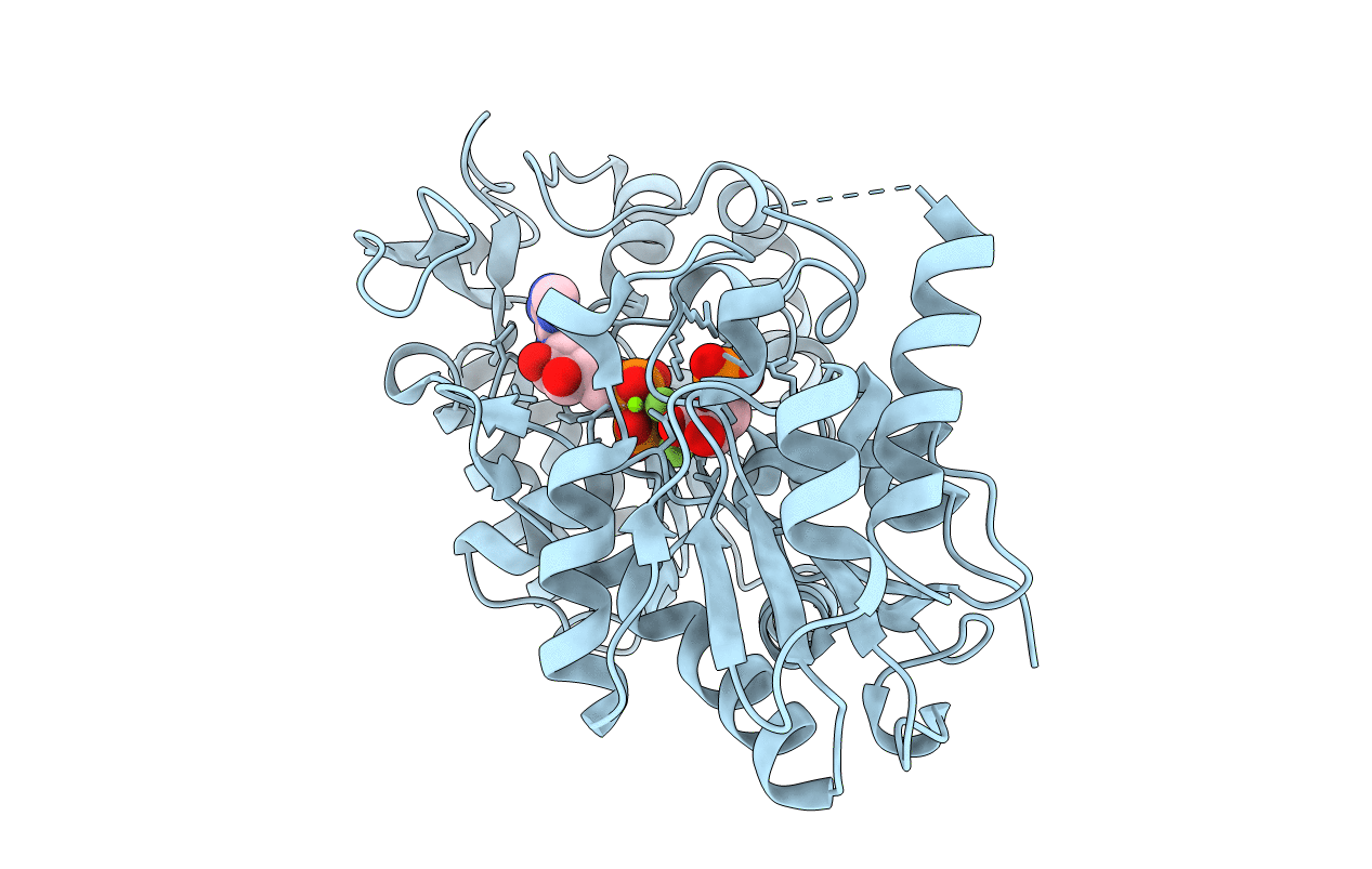 2wzb image