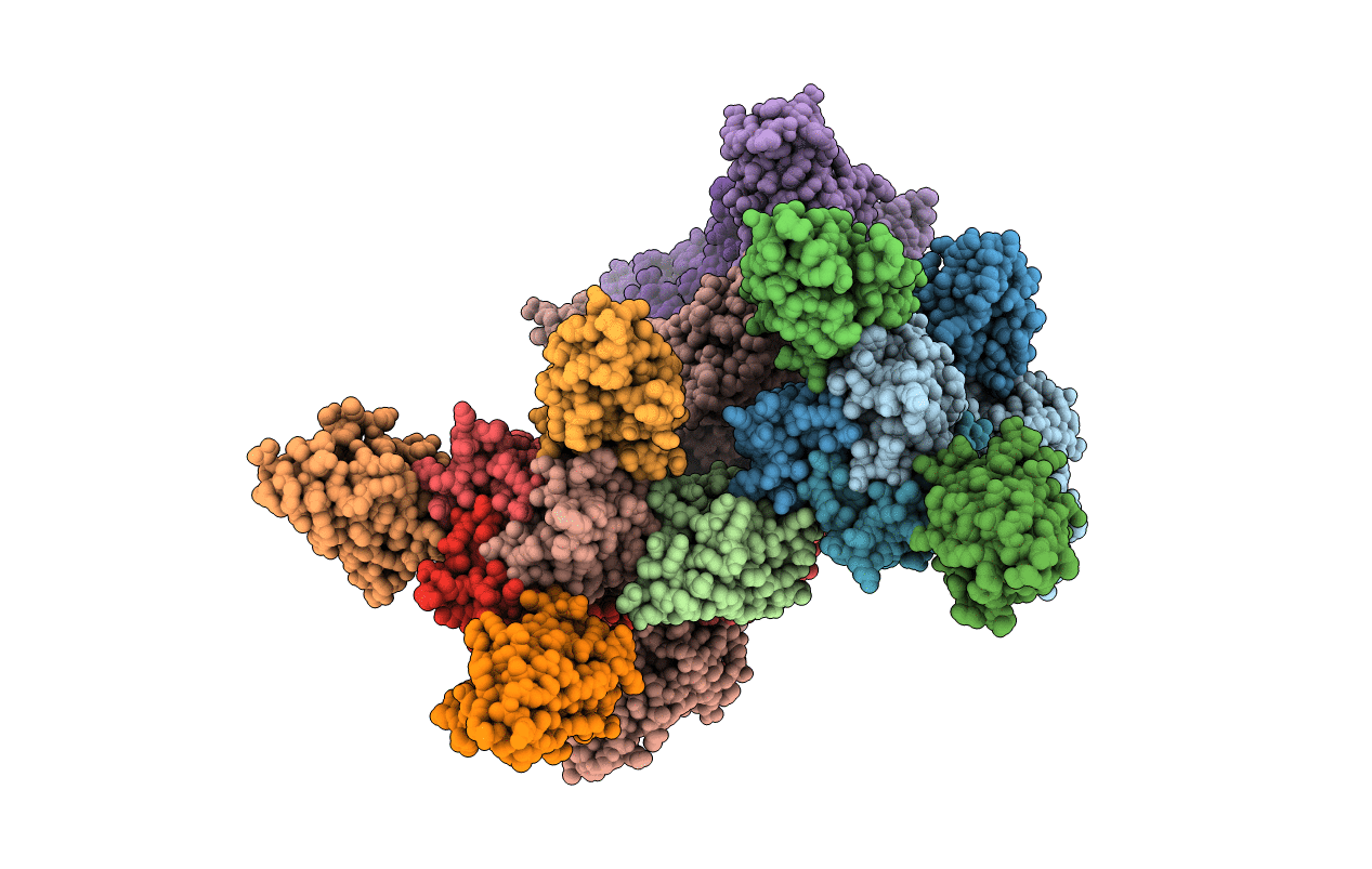 2WZP image