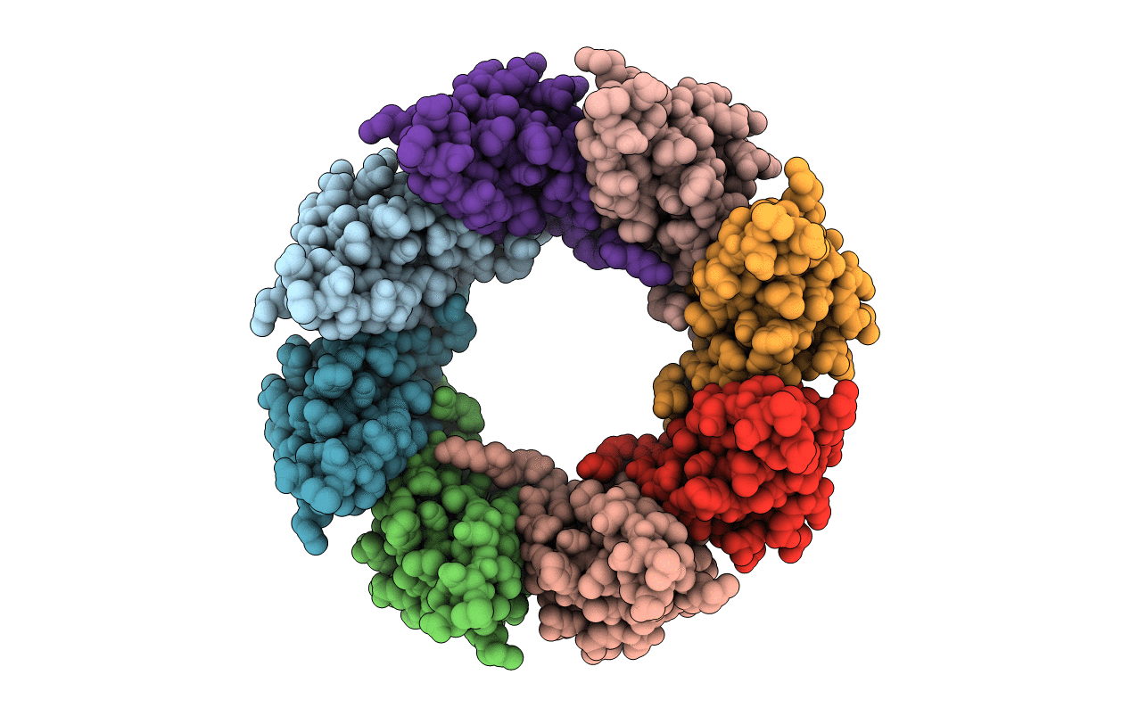 2X3D image