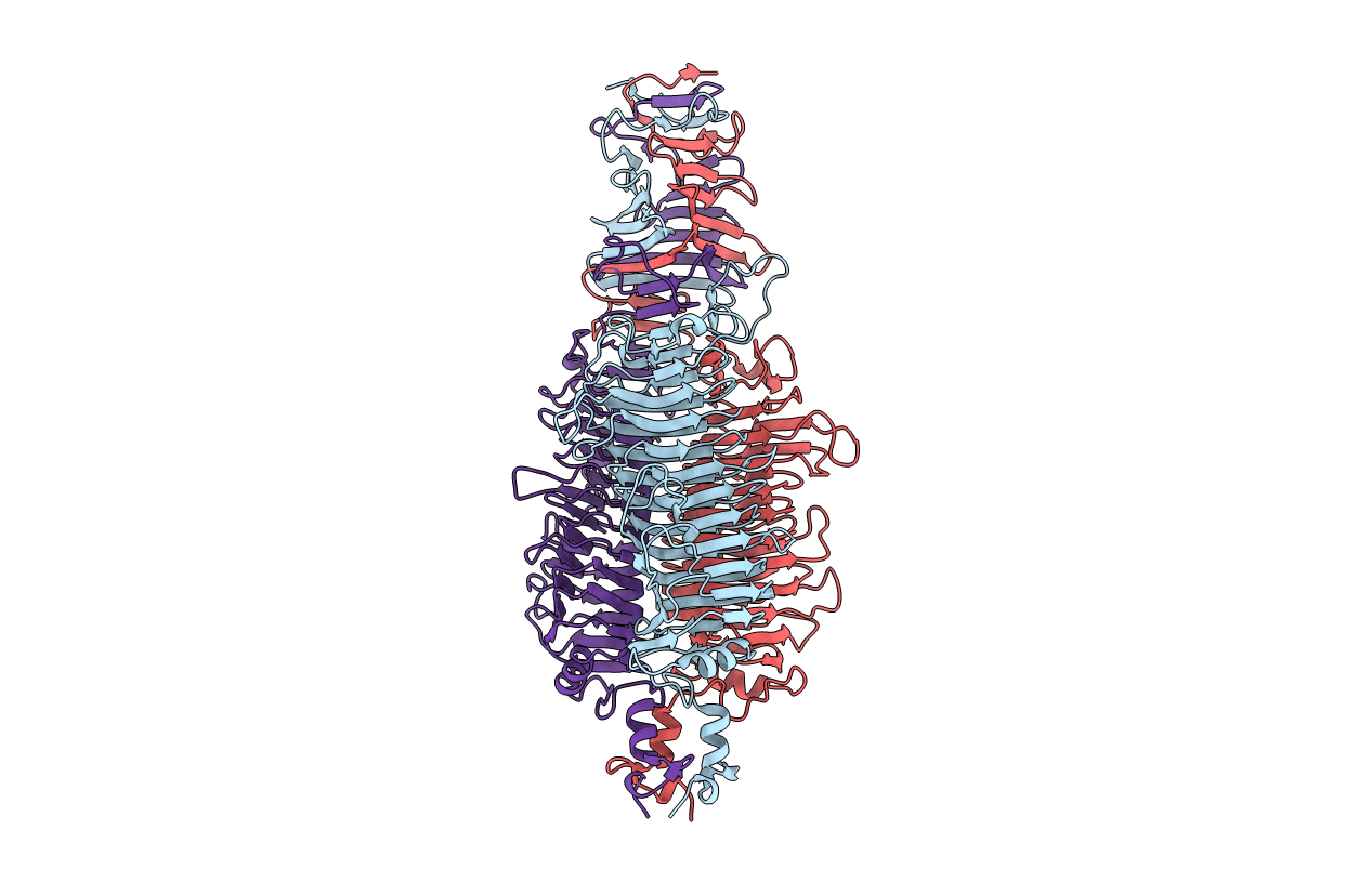 2X3H image