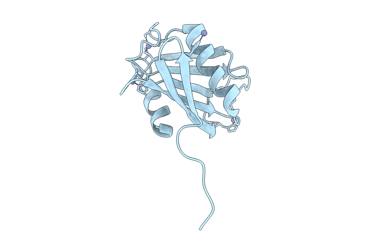 2X5R image