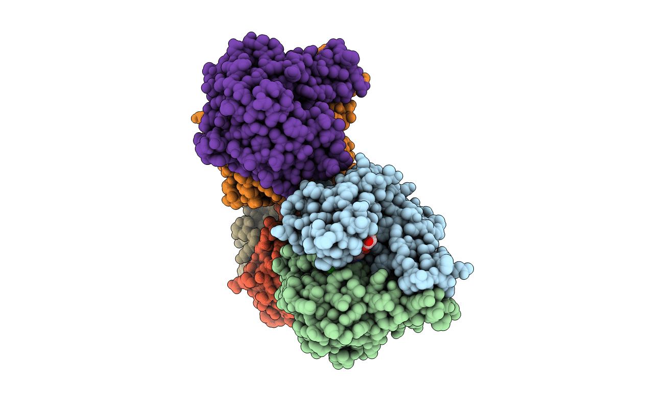 2X64 image