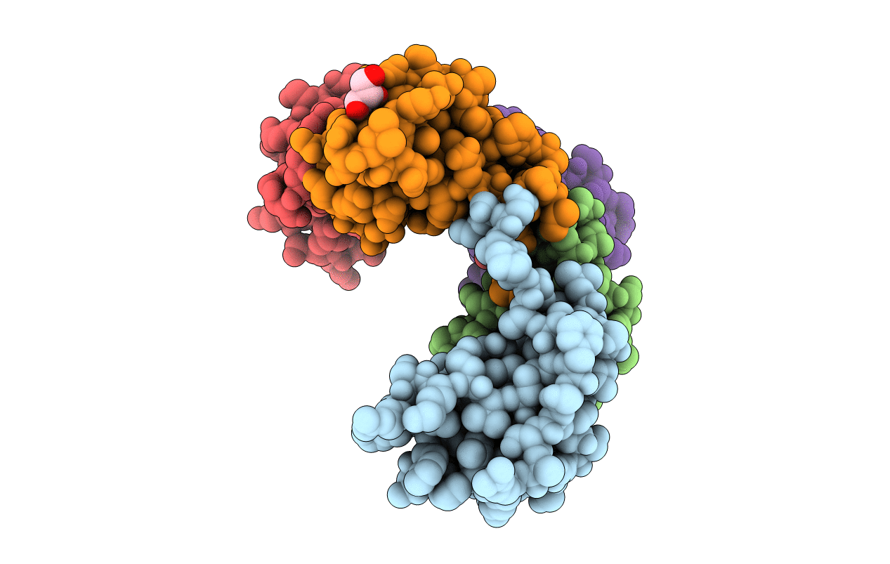 2X6L image