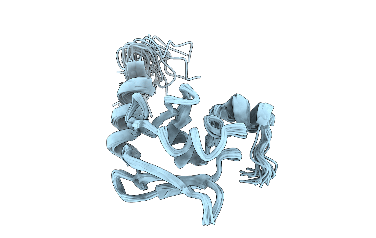 2X8N image