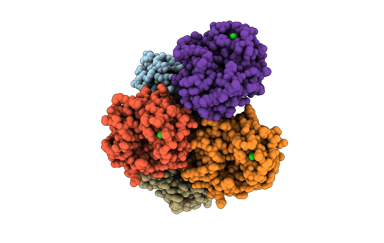 2X8R image