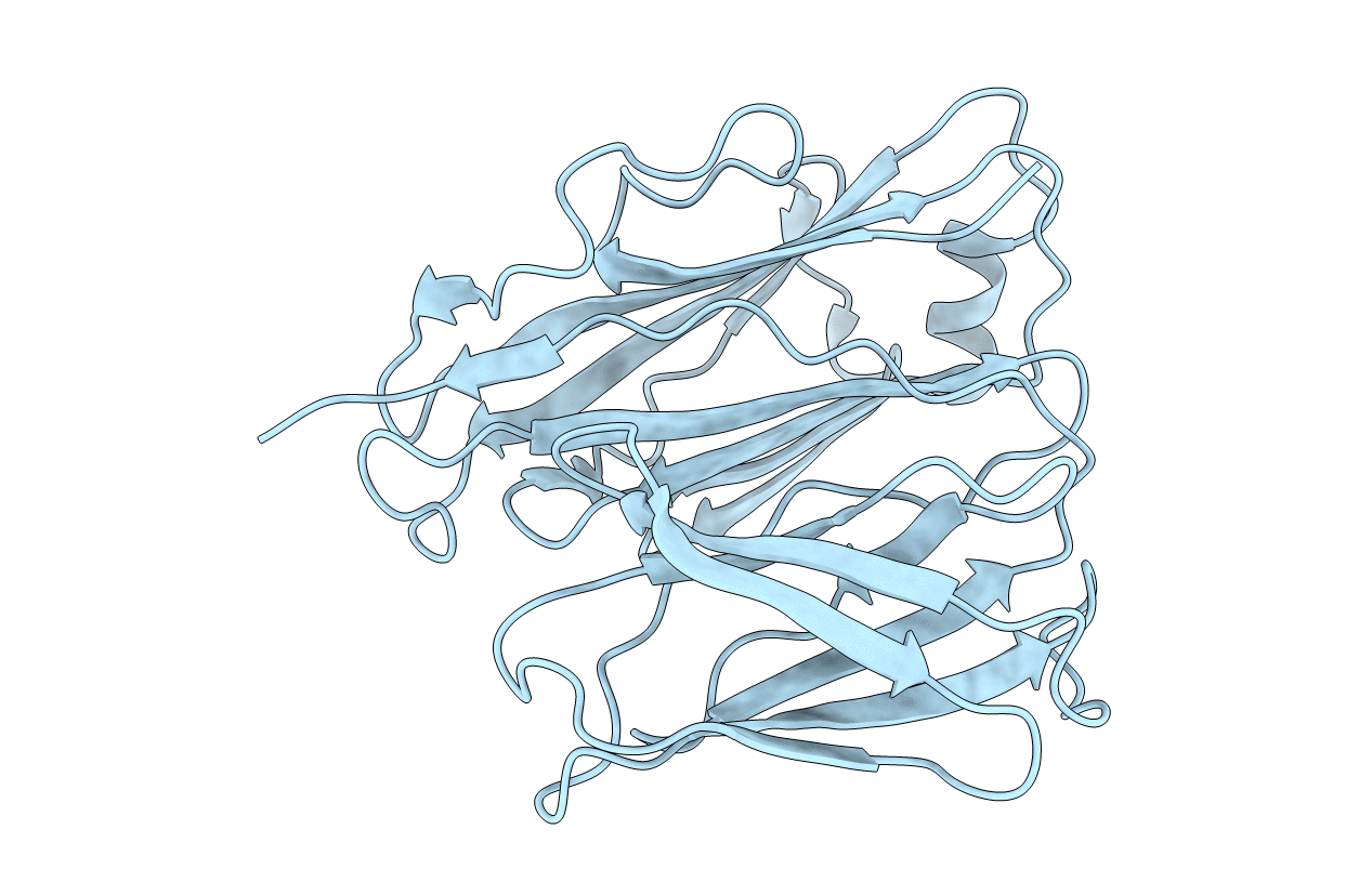 2X9Z image