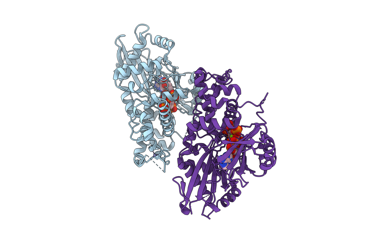 2XAM image