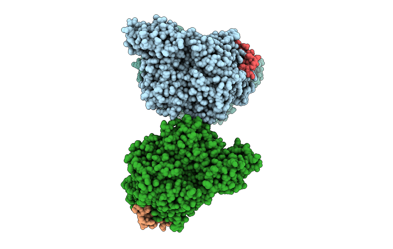 2XAV image