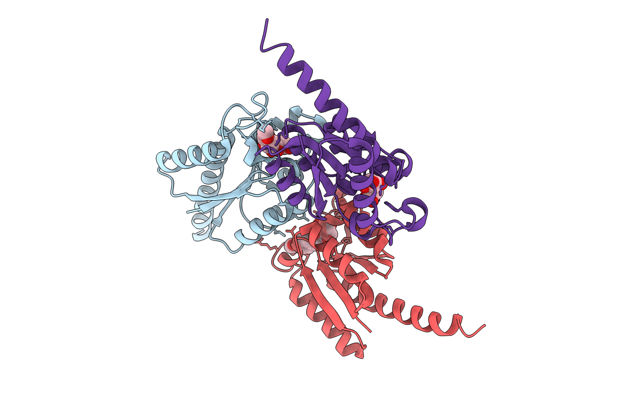 2XB9 image