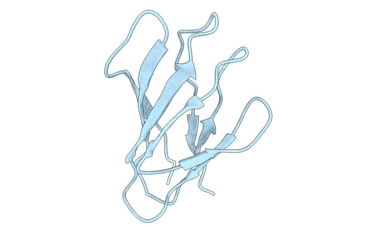 2XBD image