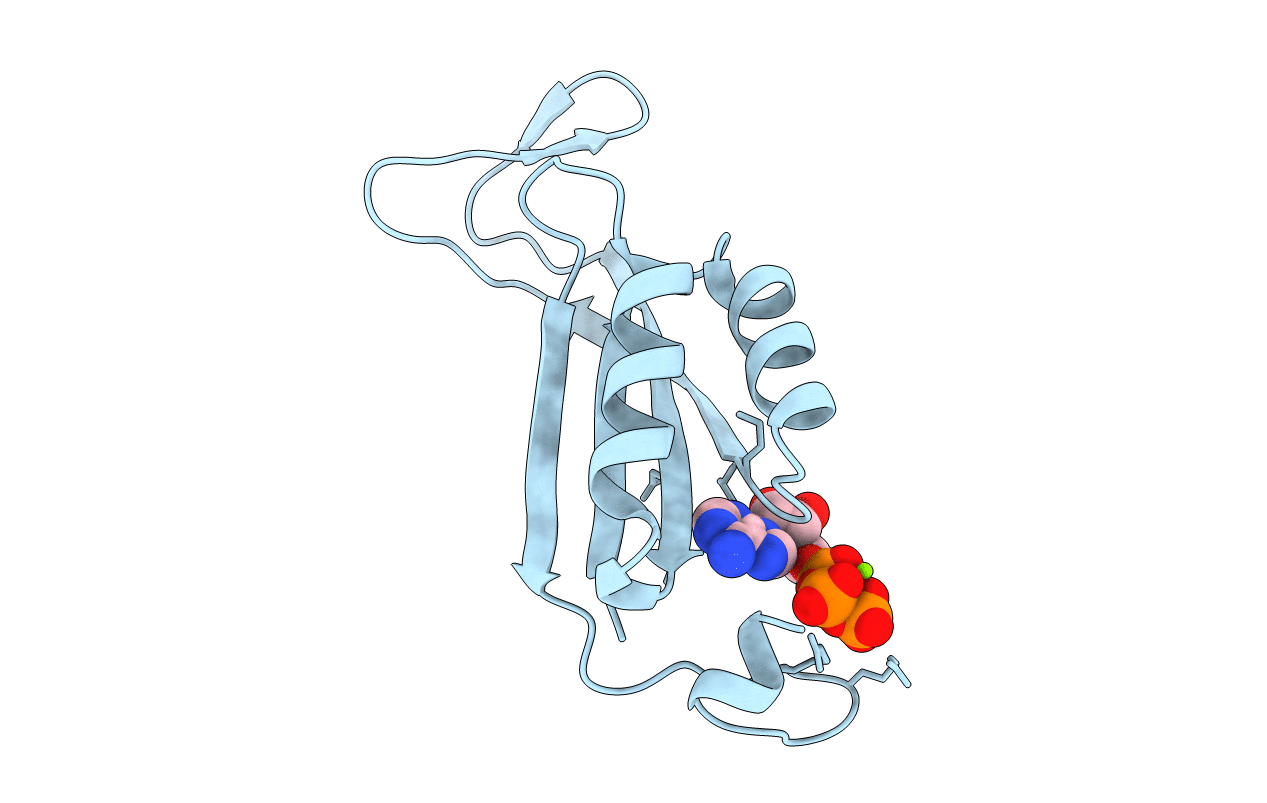 2XBP image