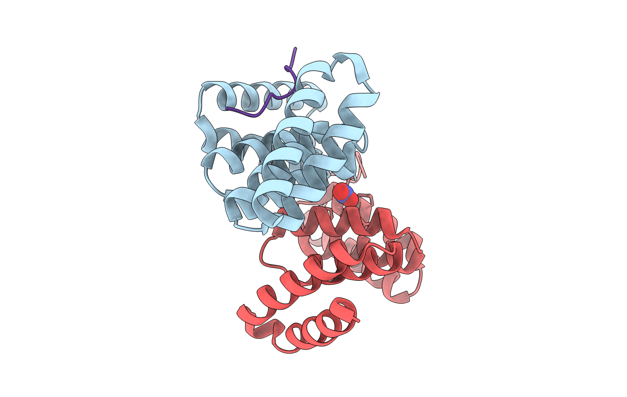 2xcb image