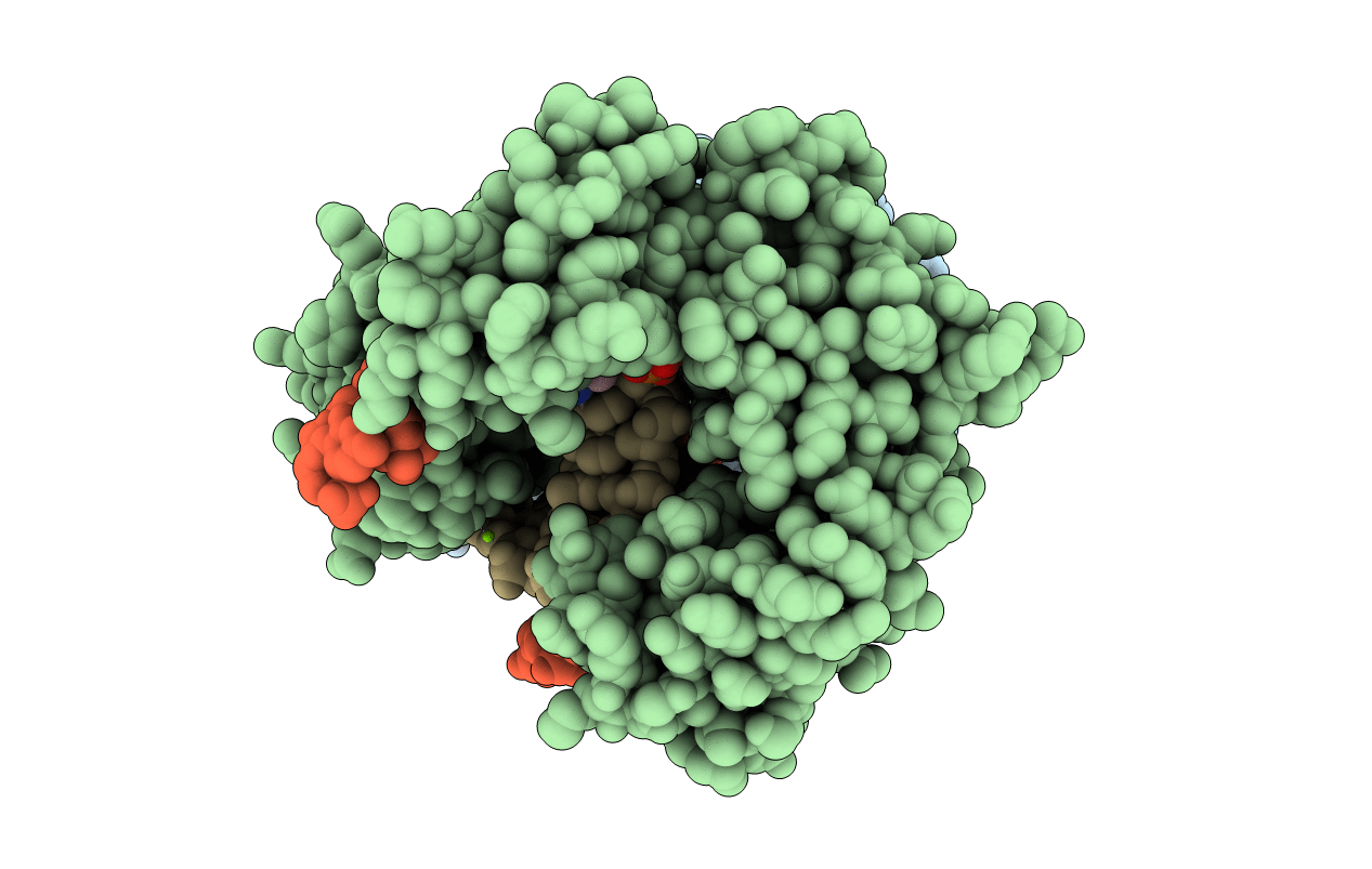 2XCP image