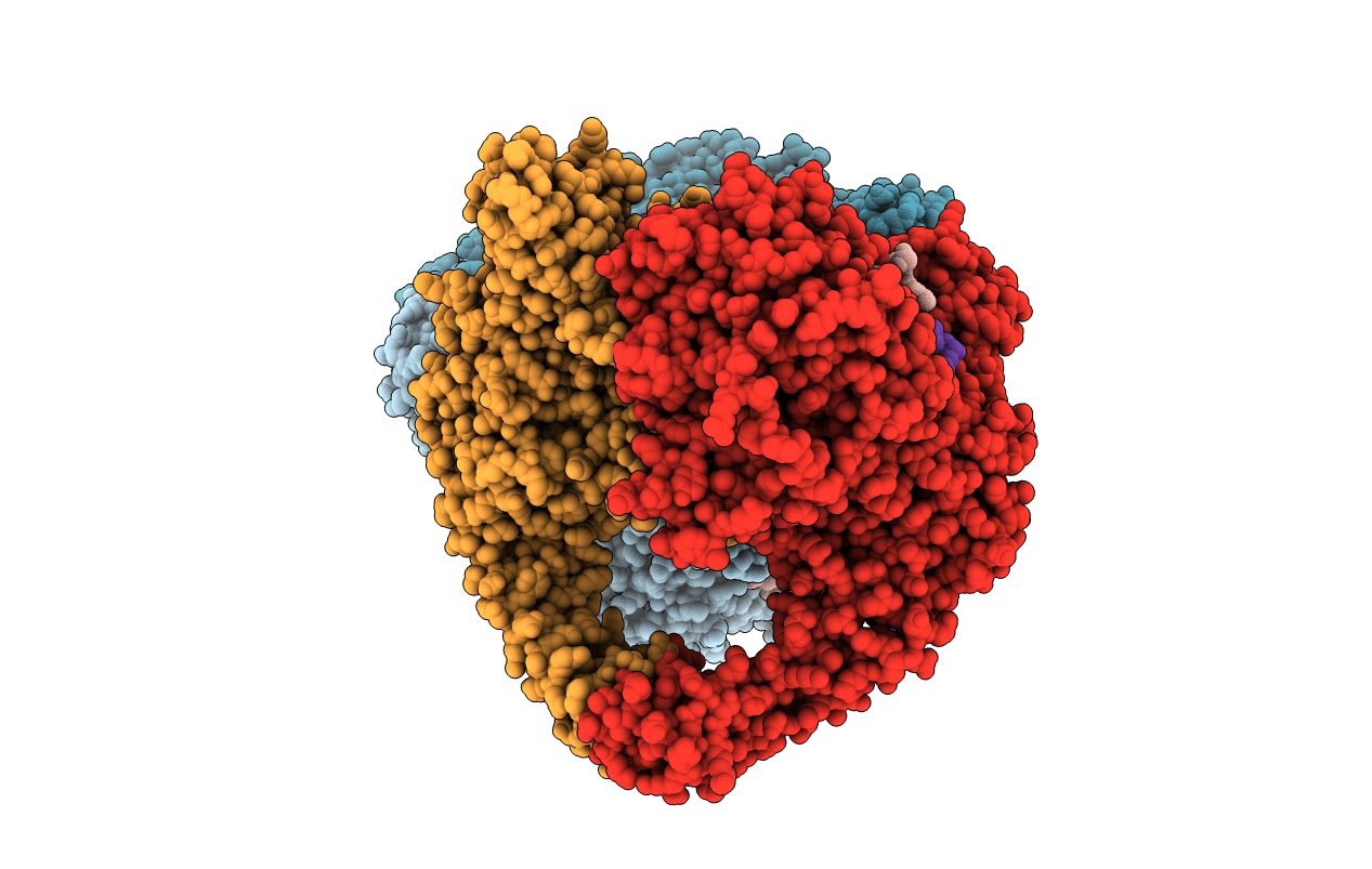 2XCR image