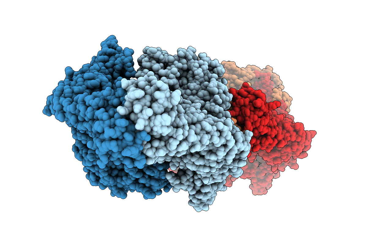 2XCT image