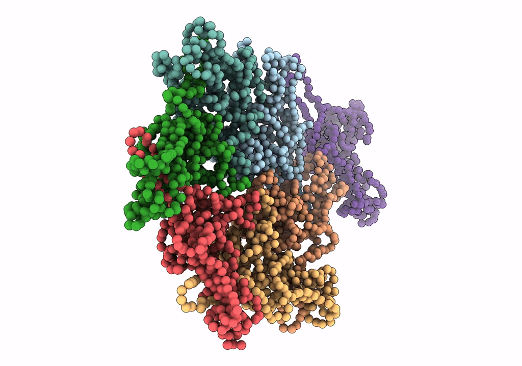 2XD8 image
