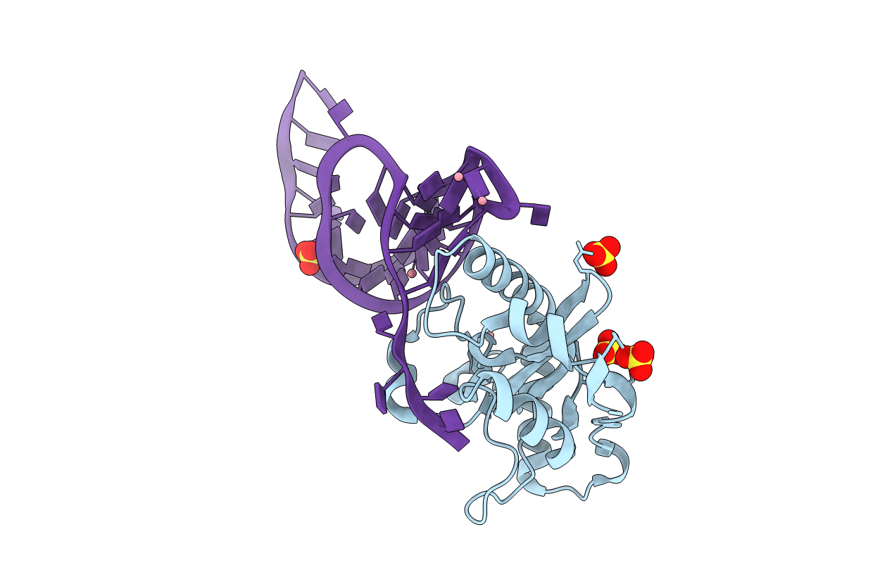 2XDB image