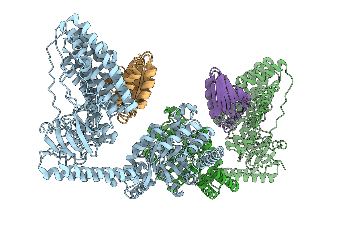 2XDF image