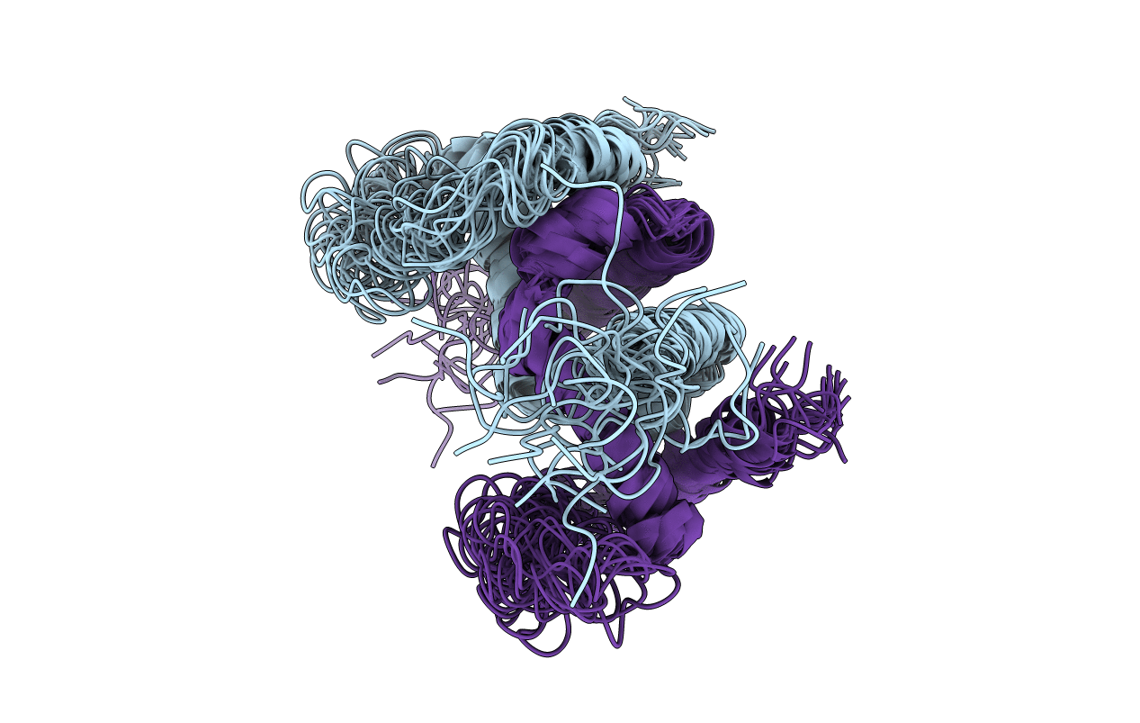 2XDI image