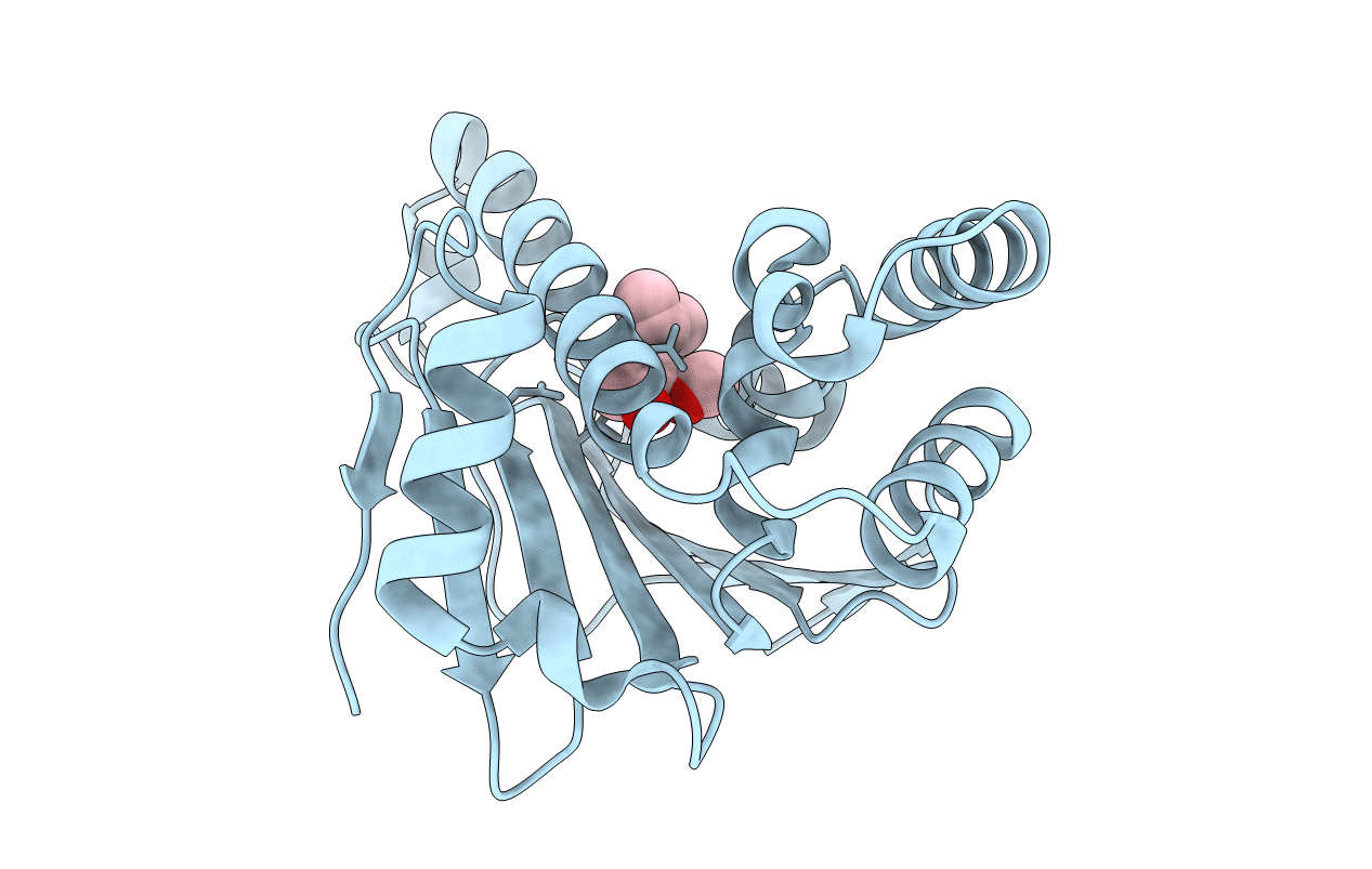 2XDL image