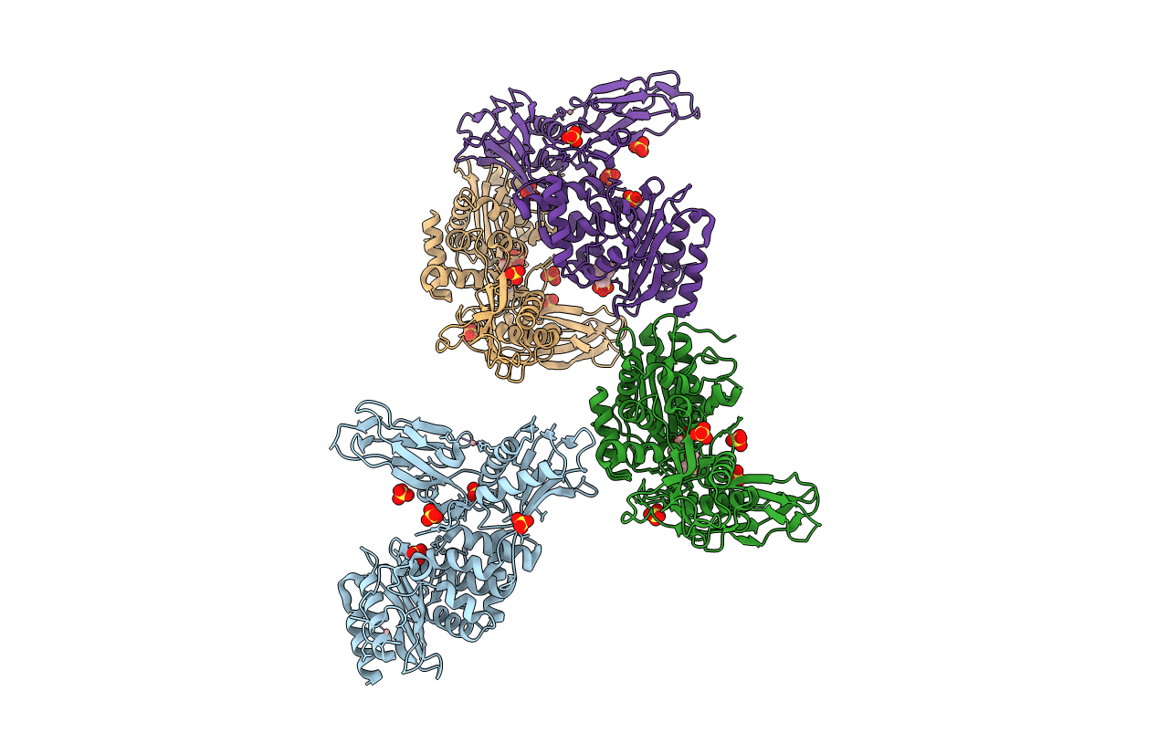 2XDM image