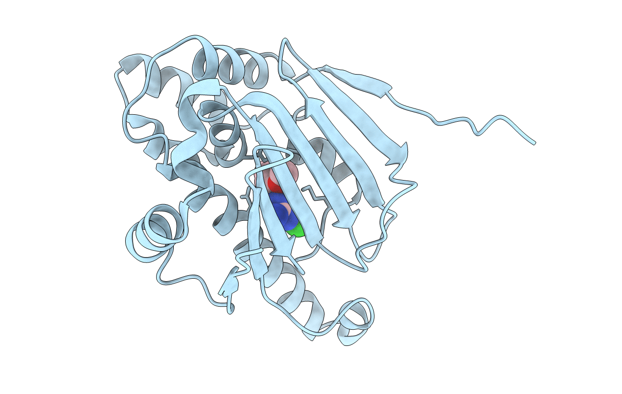 2XDX image
