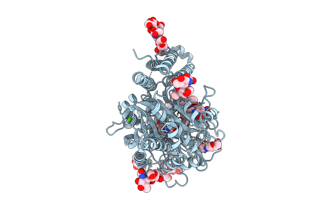 2XEF image